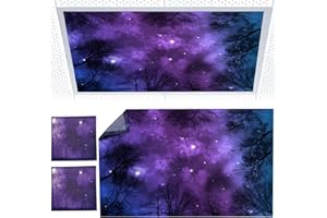 Torixqi 2pcs Fluorescent Light Covers - Light Covers for Ceiling Lights Classroom, Magnetic Light Filters for Office, Hospitals, Home 4 x 2 Feet (purple nebula)