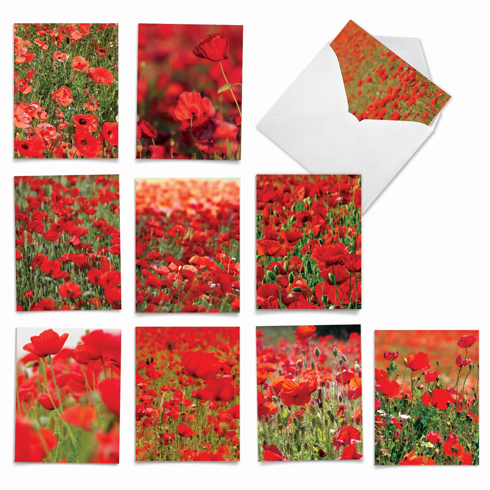 The Best Card Company 10 Assorted Thank You Notecards Bulk Box Set 4 x 5.12 Inch with Envelopes (10 Designs, 1 Each) POPPY LOVE: 10 Assorted 'Thank You' Note Cards w/Matching Envelopes. M3019