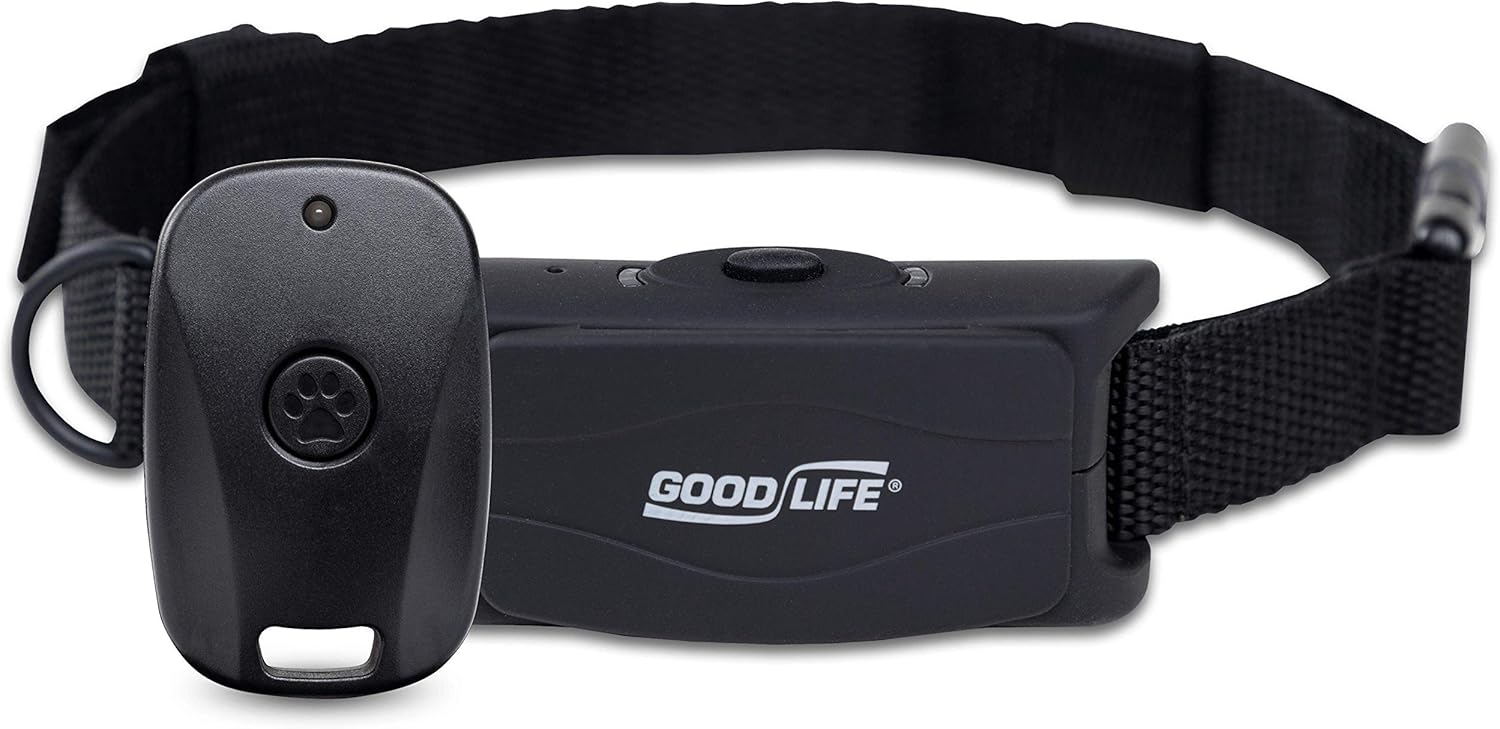 orange cat breeds short hair