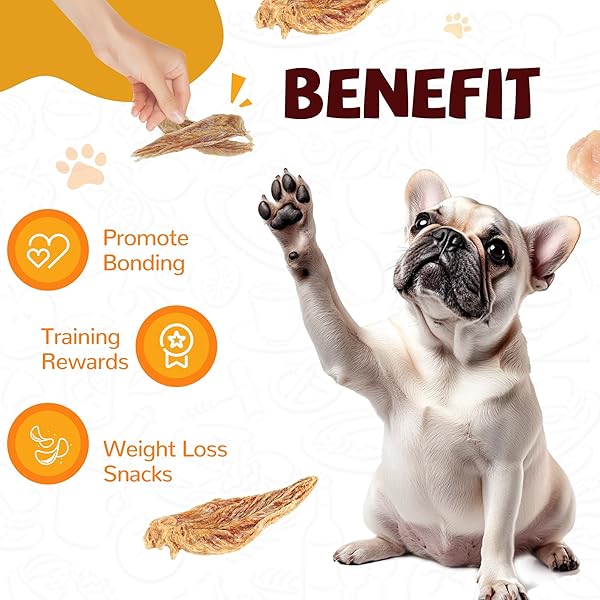 PAWUP CHICKEN JERKY DOG TREATS, LOWER MOISTURE CONTENT, HEALTHY PREMIUM CHEWY DOG JERKY TREATS, 10.6 OZ