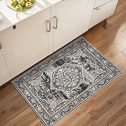 2x3 Washable Hallway Runner Rug: Oriental Indoor