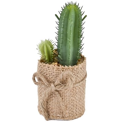 Cactus Decorativo Planta Plástico Pot yute verde 12 x 6 x 6 cm ...