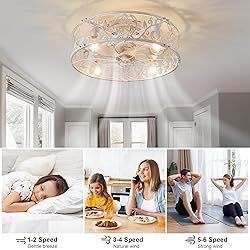 Garwarm 20" Caged Ceiling Fan With Light, Flush