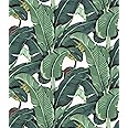 Meihodan Tropical Palm Leaf Peel and Stick Wallpaper Green Banana Leaves Self Adhesive Wall Paper Removable Contact Paper for Living Room 17.7in x 9.8ft