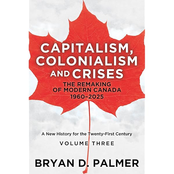 洋書 Natural Capitalism Natural Capitalism: Creating the Next Industrial Revolution