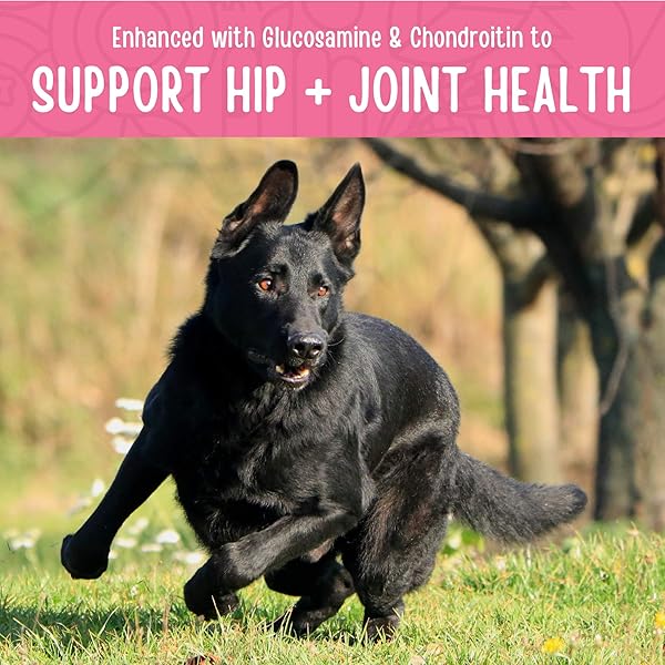 FULL MOON CHICKEN JERKY HEALTHY ALL NATURAL DOG TREATS HUMAN GRADE FOR HIP AND JOINT 12 OZ