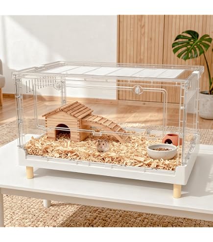 Living World : Amazon.ca: Pet Supplies