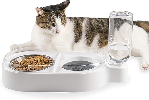 no bowl cat feeder amazon