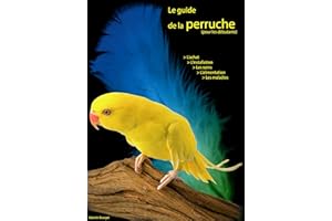 Le guide de la perruche: pour les débutants (French Edition)