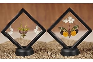 vinatimes 2 Real Mantis Yellow Lanternfly Beetle Bug Insect Frame Taxidermy Dried Specimen Entomology Curiosities Crystal Shelf Shadow Box Display Oddity Gift Hanging Decor Display Table PL-5562