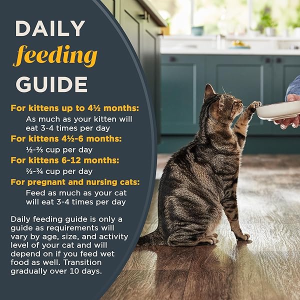 REVEAL NATURAL DRY KITTEN FOOD, HIGH PROTEIN, GRAIN FREE WITH ADDED VITAMINS & MINERALS AND DHA, COMPLETE & BALANCED NUTRITION FOR KITTENS, CHICKEN RECIPE (2.5 POUND BAG)