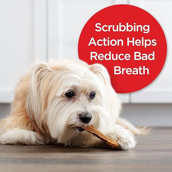 MILK-BONE ORIGINAL BRUSHING CHEWS 48 MINI DAILY DENTAL DOG TREATS SCRUBBING ACTION HELPS CLEAN TEETH