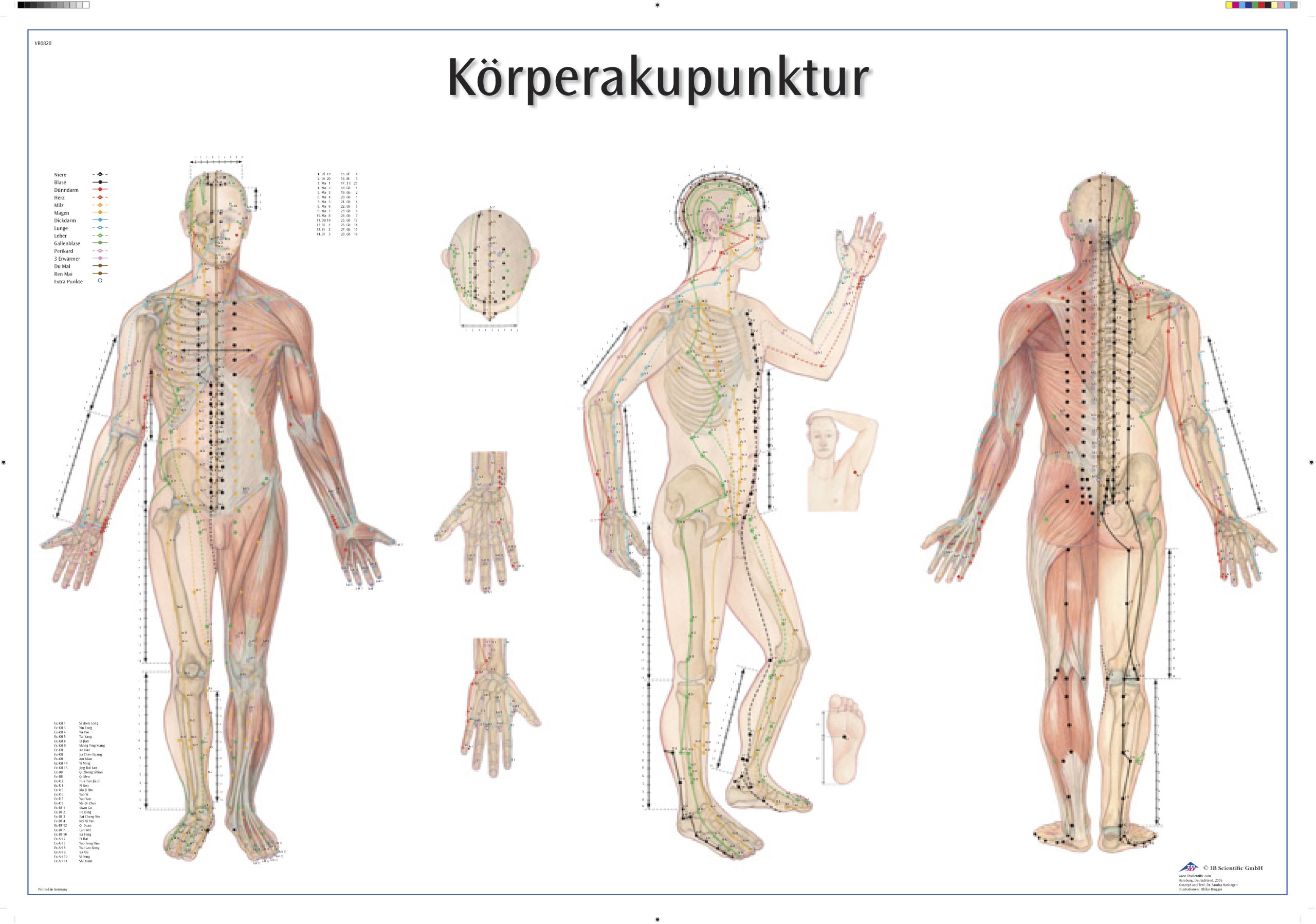 3B Scientific Anatomical Chart 'Körperakupunktur' ('Body Acupuncture') [German Language]k, VR0820UU.