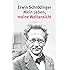 Mein Leben, meine Weltansicht: Die Autobiographie und das philosophische Testament