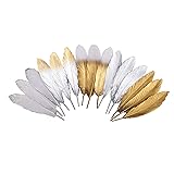 50Pcs 5 Style Natural Goose Feathers Clothing