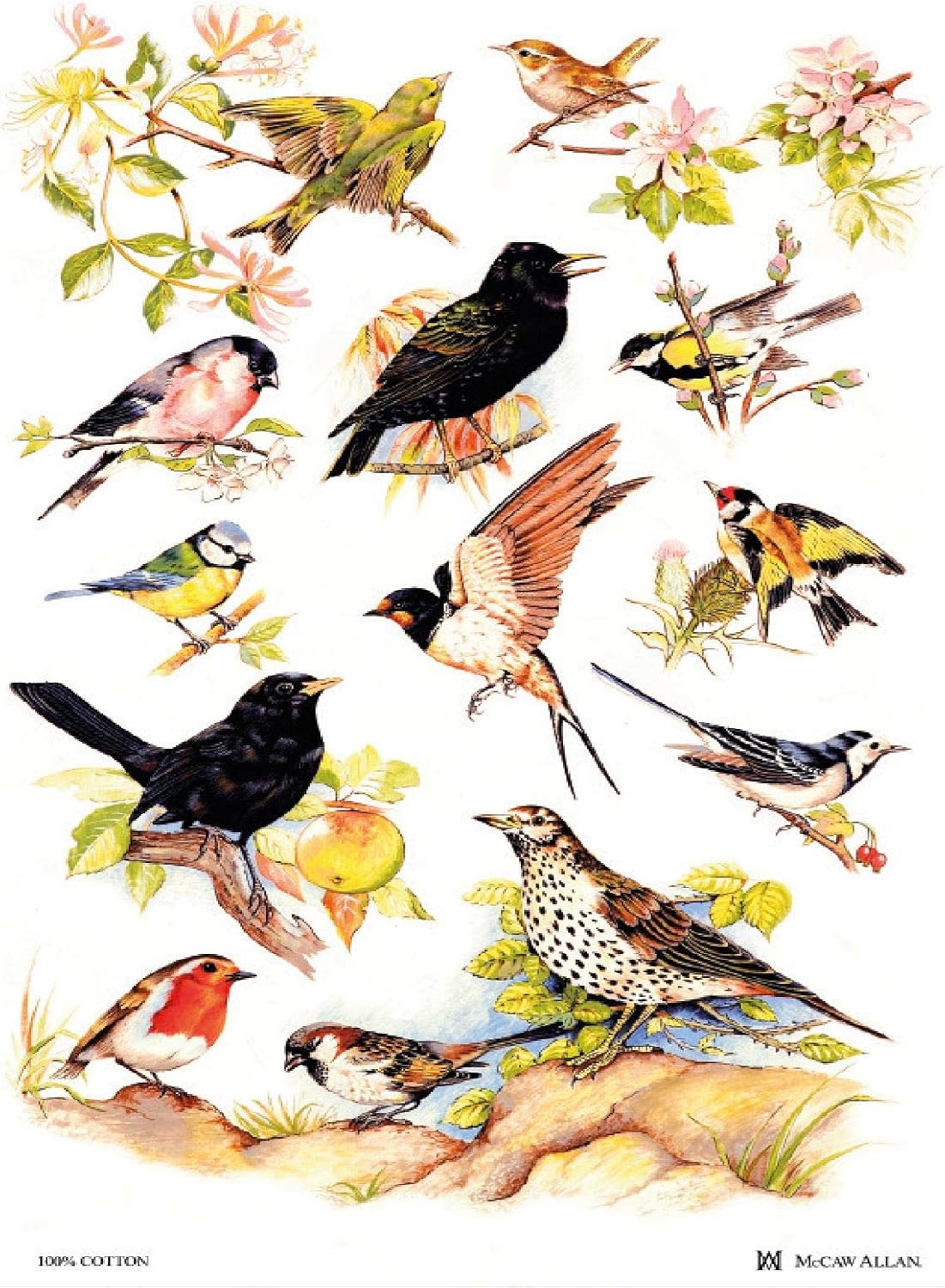 Samuel Lamont British Birds Cotton Tea Towel, White, One Size
