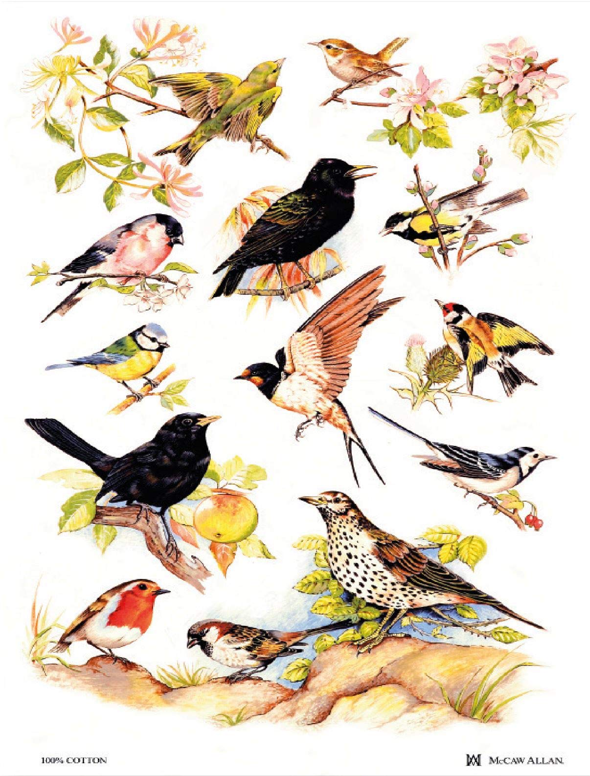 Samuel Lamont British Birds Cotton Tea Towel, White, One Size