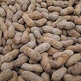 Barcelona Nut Inshell Peanuts Salted & Dry Roasted