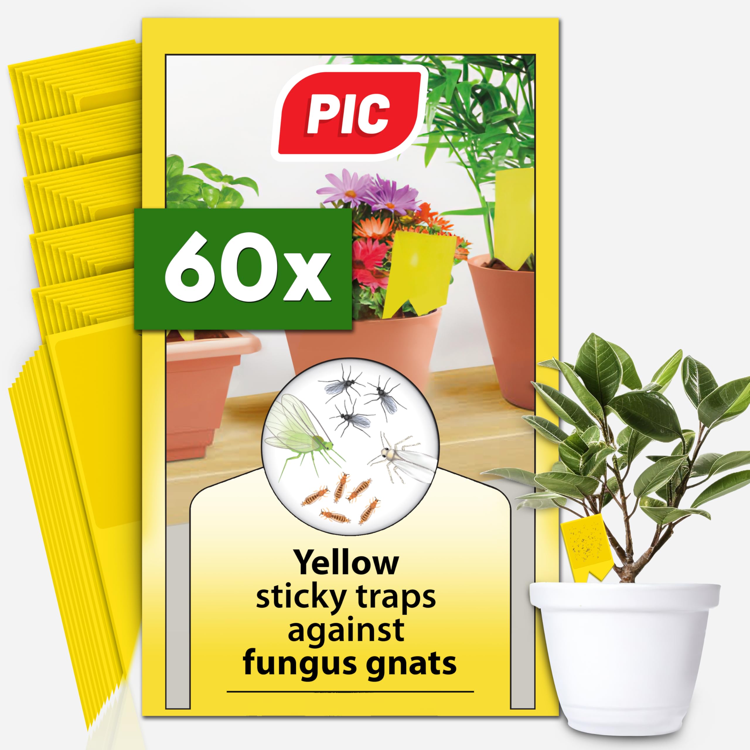 PIC Fungus Gnat Sticky Traps - 60x Effective Yellow Sticky Traps Fungus Gnats, Sticky fly Traps Indoor Plant against Fungus Gnats and Small Flies in Potting Soil, Plant fly stickers, up to 6 months