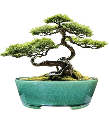 Amazon.com: MUZHI 裝飾陶瓷盆景花盆,8.5 英吋(約10.5 公分)附托盤