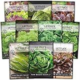 Sow Right Seeds - Large Lettuce Seed Collection for