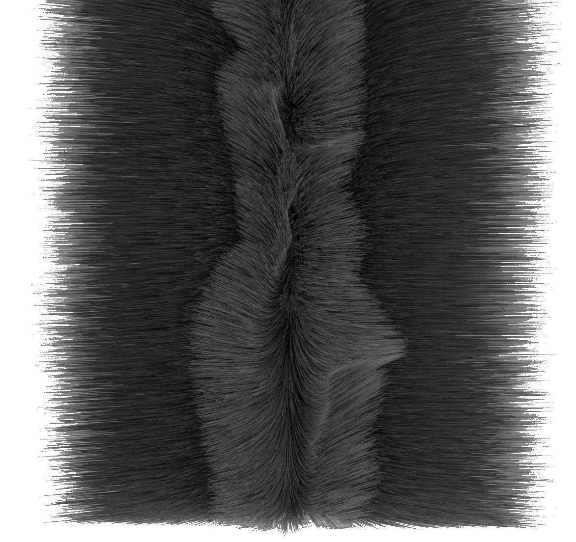 STORMGUARD 05AM054007MBL Twin Pack Garage Door Brush Pile Draught Seal, Black, 7 m