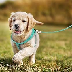 Pawaboo Dog Leash Harness Set, Durable Adjustable