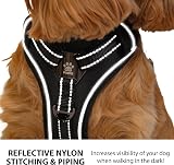 Elite Paws Premium Metal Buckle Dog Harness Black Medium UK view 4