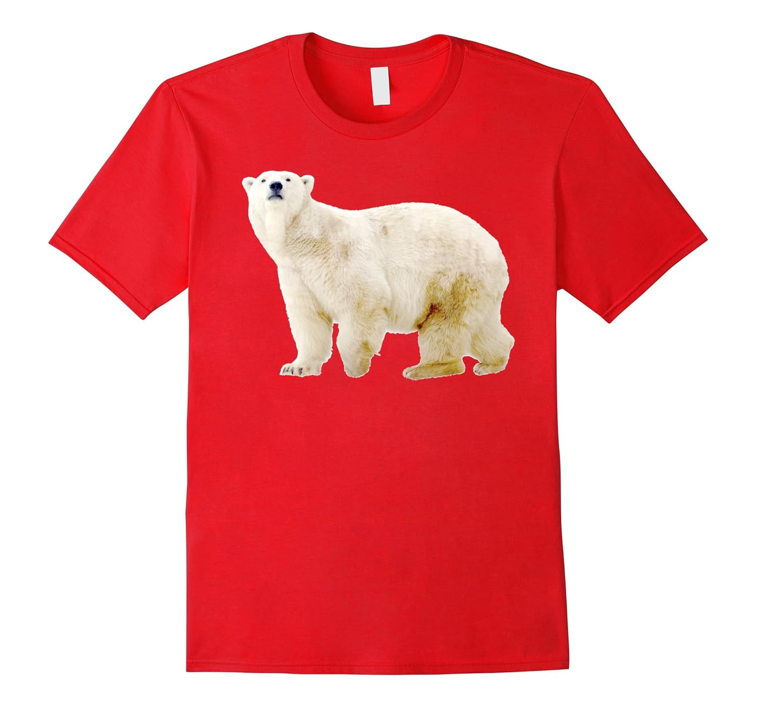 Polar Bear t-shirt-ANZ