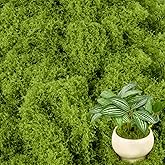 3.53 OZ Fake Green Moss - MAQIHAN Artificial Moss for Plants Indoor Faux Moss for Planters Fake Grass Decor for DIY Decoratin