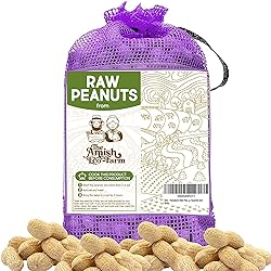 THE AMISH ECO-FARM | Fancy Size | Bulk Raw Peanuts