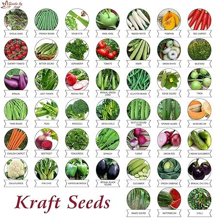 Kraft Seeds Vegetable Seeds (Pack of 45)