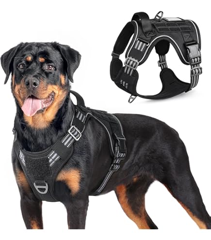 Pitbull Collar Best Leash For Pitbull Puppy American Bully Best