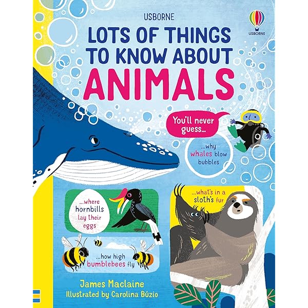 英語絵本　Lots of things to know about シリーズ5冊 100 THINGS TO KNOW ABOUT BOXSET: Usborne: 9781474999052: Amazon
