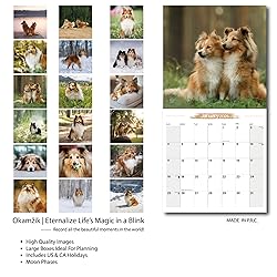 2025-2026 Wall Calendar Shetland Sheepdog Planner