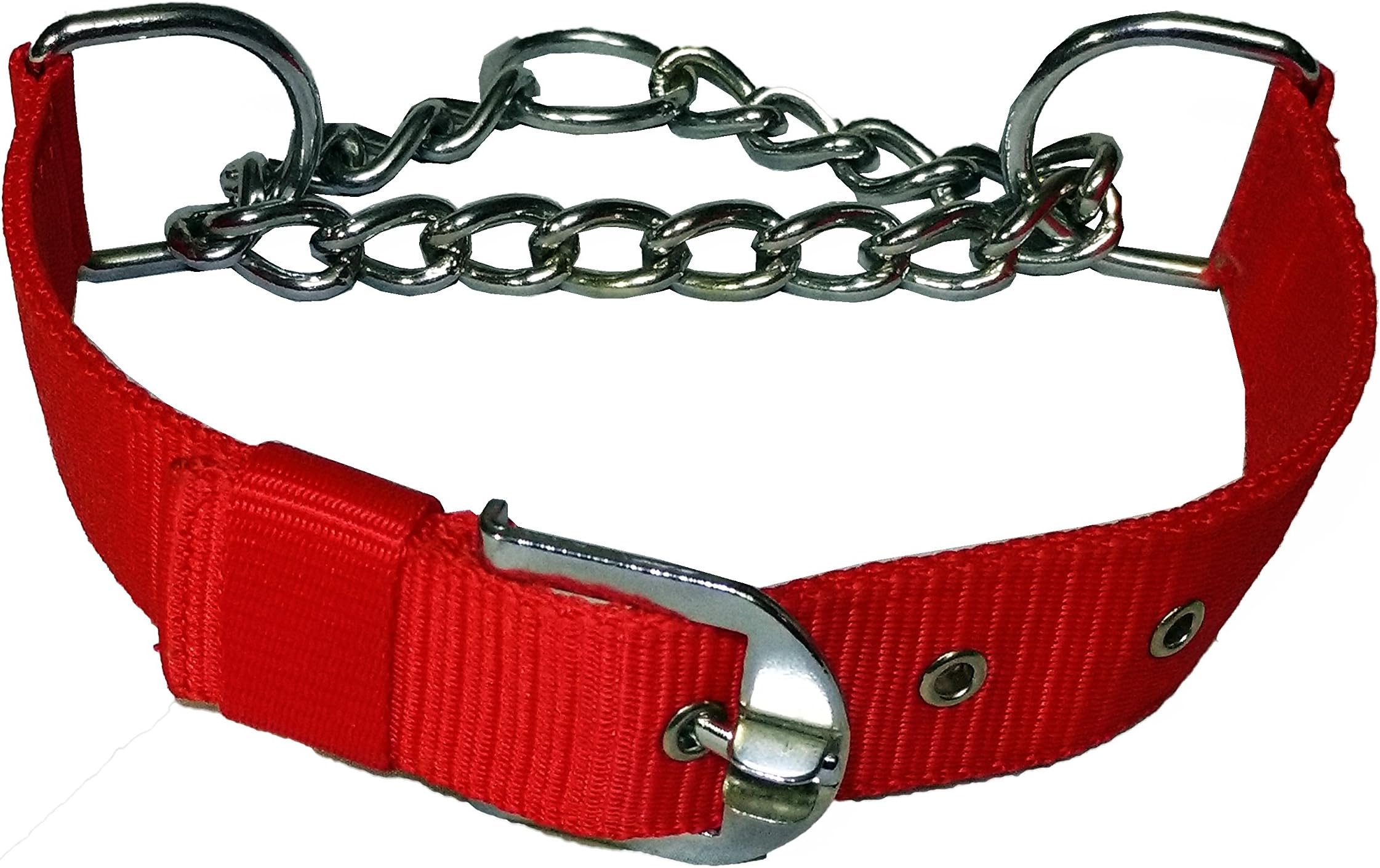 Petshop7 Durable Dog Choke Collar 1 Inch- Medium Dogs (Red)