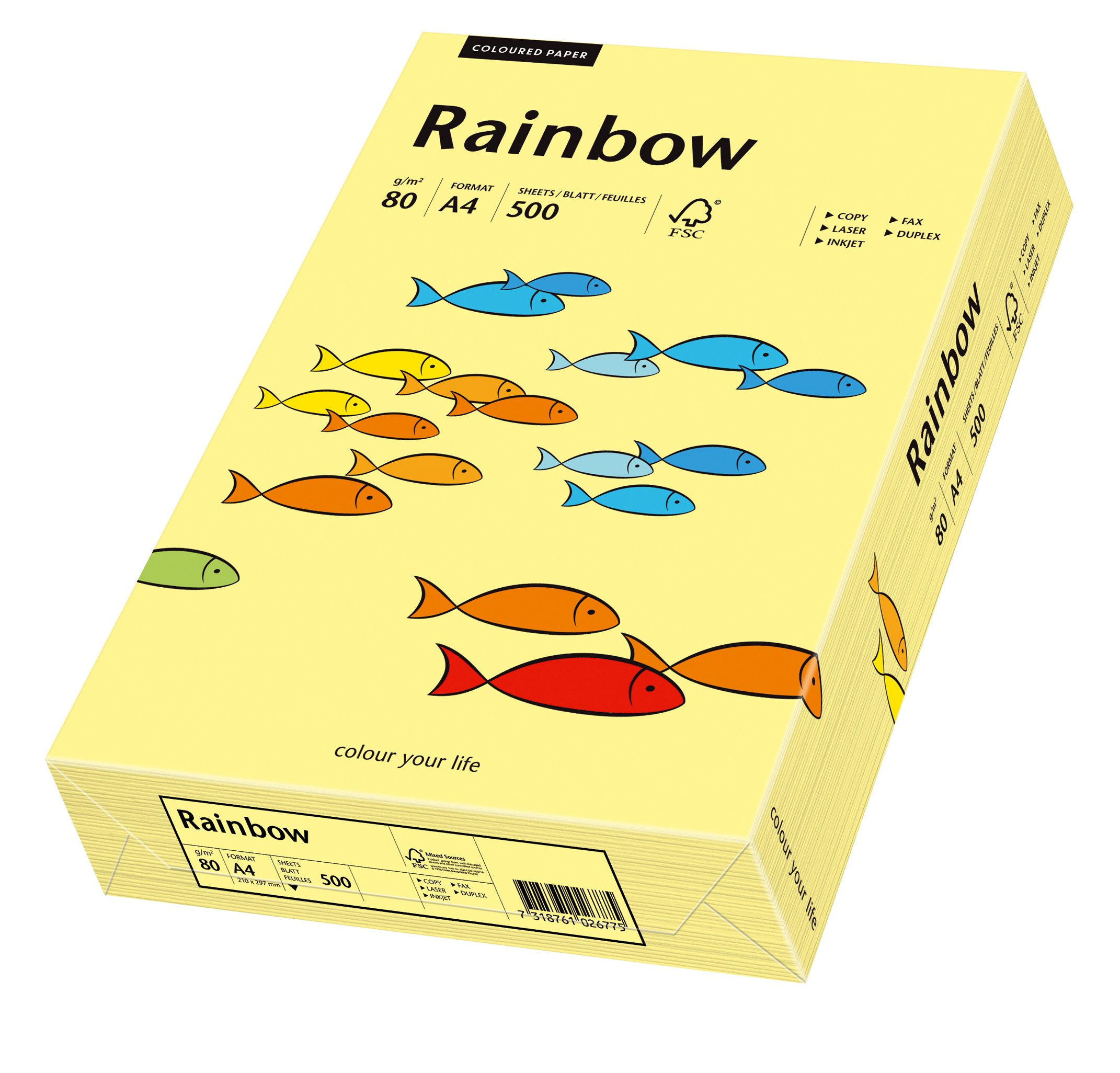 Papyrus 88042297 Printer Paper, Coloured Copier Paper, Craft Paper Rainbow 80 g/m², A4, 500 Sheets, Matte, Light Yellow