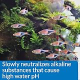 API pH Down Freshwater Aquarium pH Reducing Solution 118 ml view 5