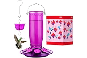 iBorn Hummingbird Feeders for Outdoors Hanging with Ant Moat for Hummingbird Feeder Glass 8 Ports for 16oz Humming Bird Nectar, Fuchsia Magenta, Pack of 1