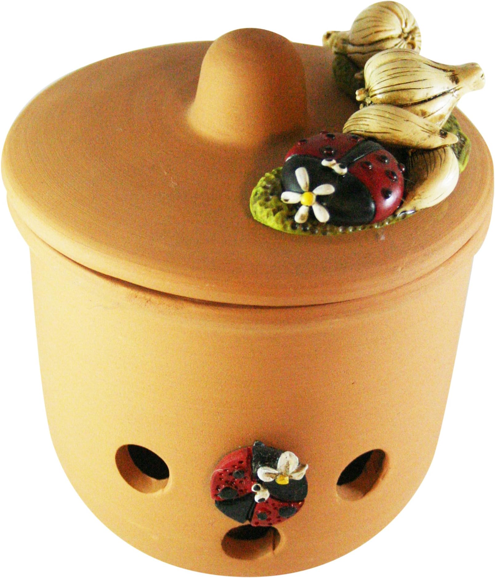 Paolo Clear Ladybird Rack Onion, Terracotta/marmoresina, Multi-Colour, 15 x 15 x 20 cm, 2 Units