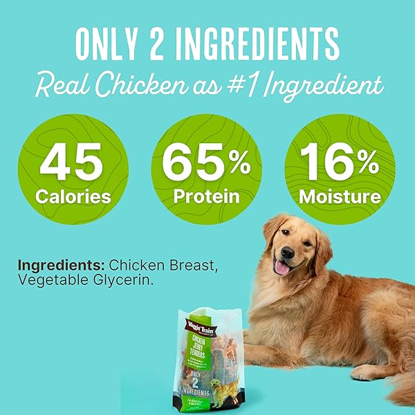 WAGGIN’ TRAIN LIMITED INGREDIENT, GRAIN FREE DOG TREAT, CHICKEN JERKY TENDERS – 11 OZ. POUCH