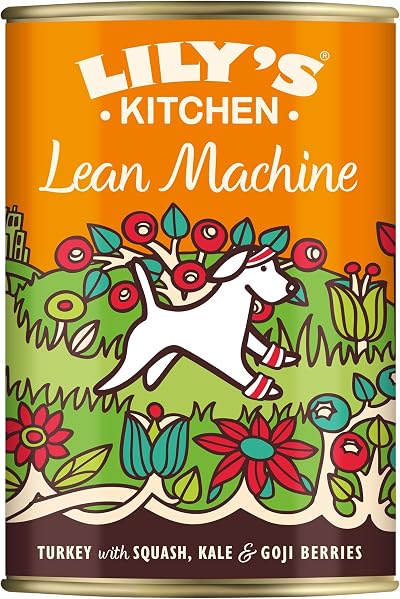 Lily's Kitchen Lean Machine Adult Wet Dog Food 6 x 400g Turkey Kale