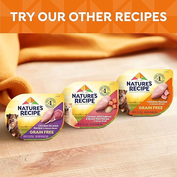 NATURE’S RECIPE WET DOG FOOD, CHICKEN & WILD SALMON IN BROTH RECIPE, 2.75 OUNCE CUP (PACK OF 12)