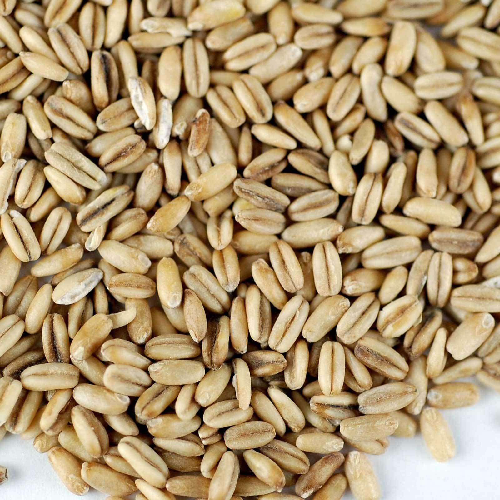 Organic HULLED Oats - Oat Grain - Oat Groats - Food Storage, Oatmeal, Feed 16 OZ