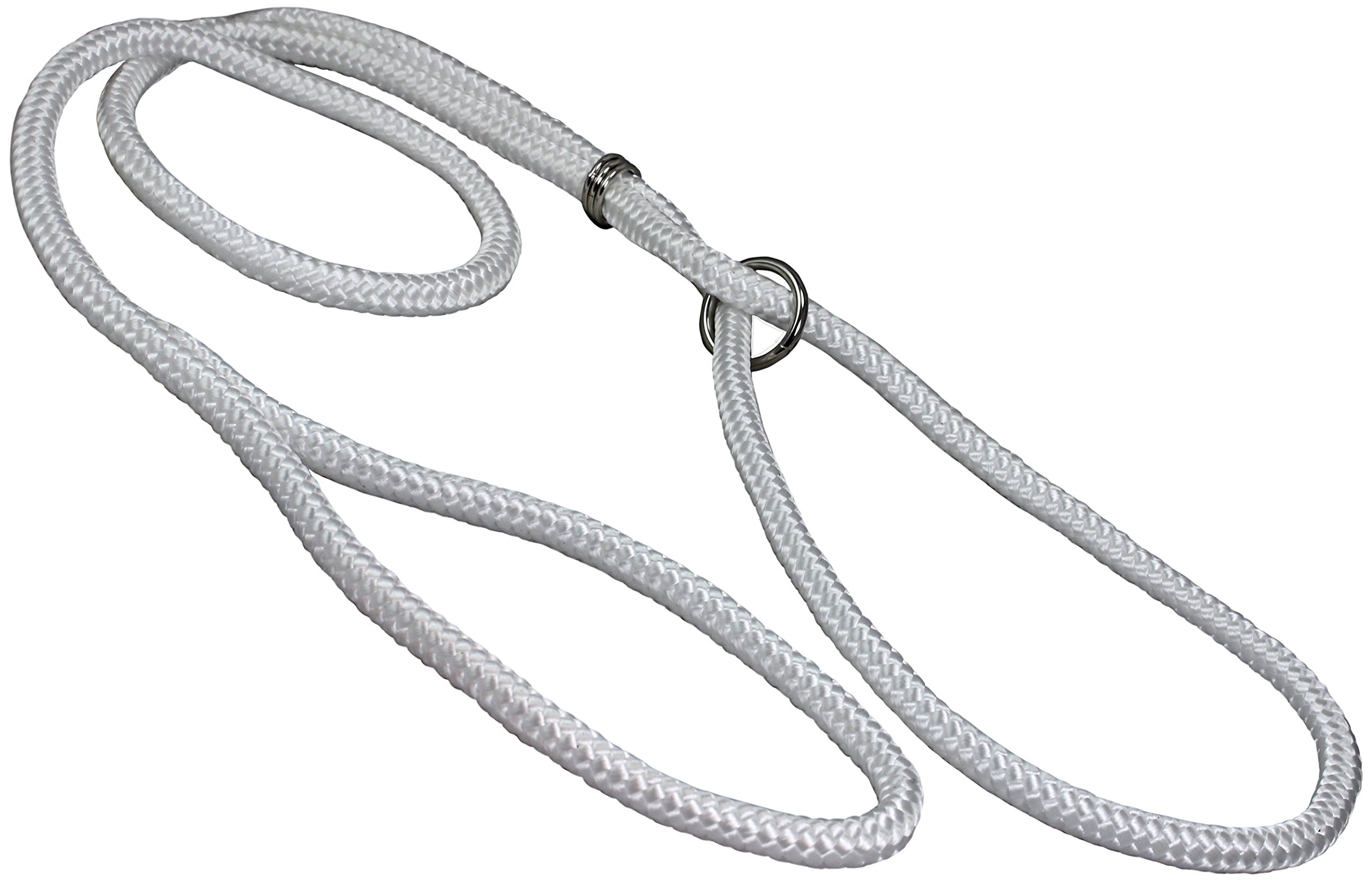 Dog Show Lead Braided Tubular Nylon 52" Long (Large: diam 3/8"(10mm), White)