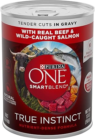 amazon purina one dog food