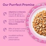 Whiskas Junior Wet Cat Food in Jelly Fish Favourites 12x85g Kitten Pack of 4 view 6