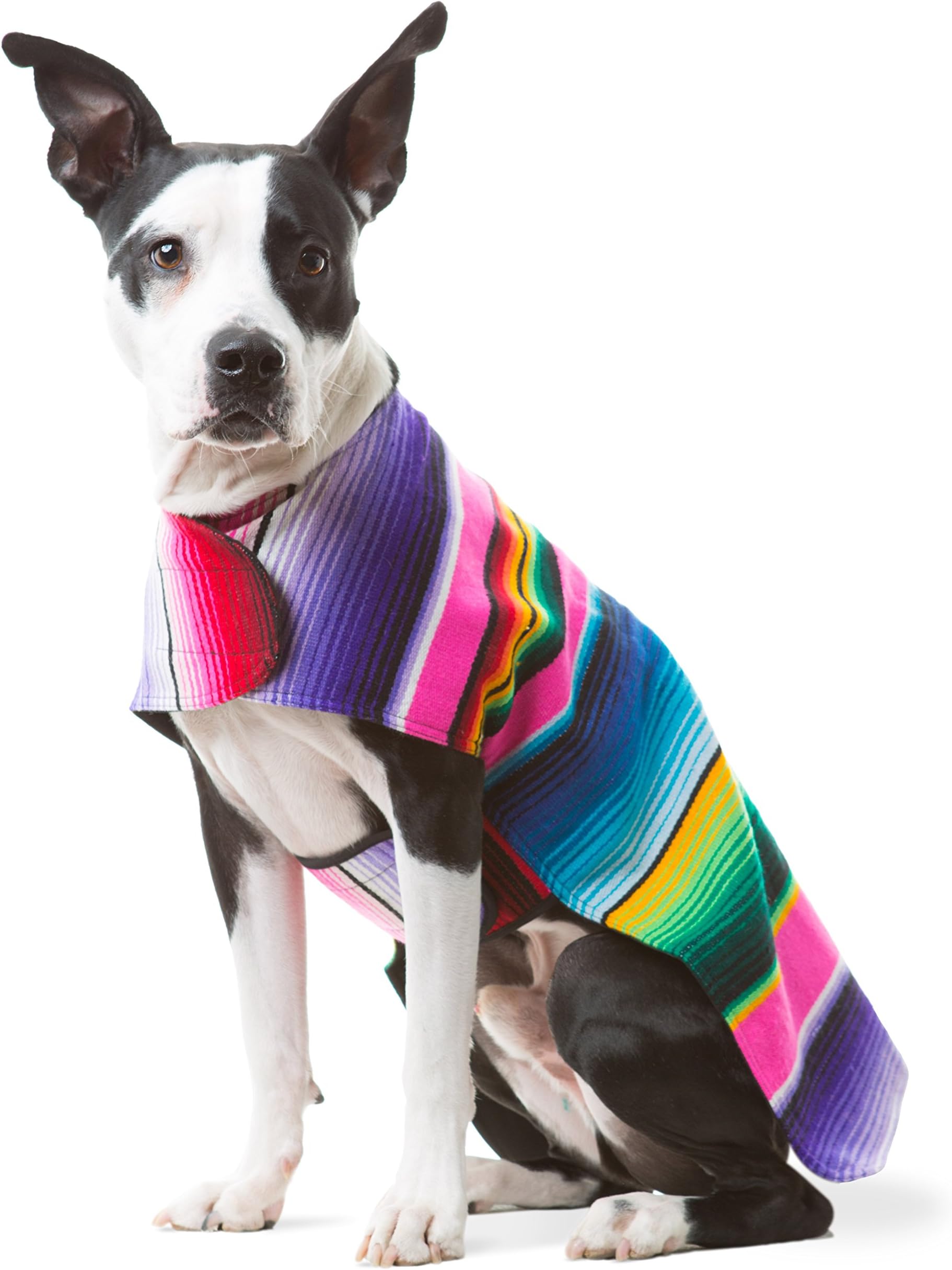 Dog Clothes - Handmade Dog Poncho from Authentic Mexican Blanket by Baja Ponchos (Pink, XXL)