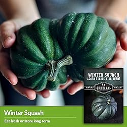 Table King Acorn Squash Seed for Planting - 5