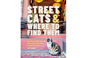 Street Cats & Where to Find Them: The Most Feline-Friendly Cities and Attractions Around the World